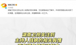 娱乐圈吃瓜的昵称大全,揭秘那些令人捧腹的“吃瓜昵称”背后的故事